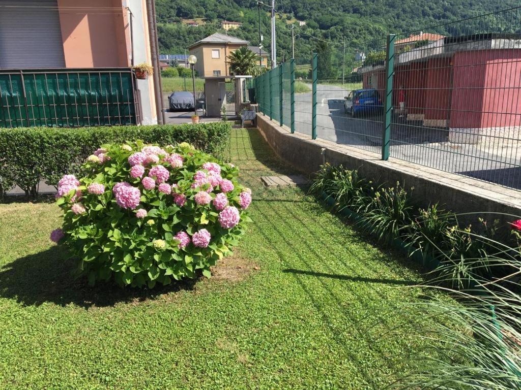 Big Family Bed & Breakfast Suello Extérieur photo